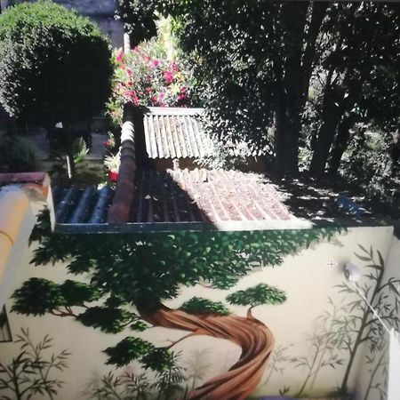 Suite Volupte Classee 3 Etoiles Avec Vue Sur Jardin, Climatisation Montpellier Dış mekan fotoğraf